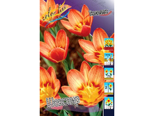 14,75���. ������� �������(���������� ������ ������ ���������� �� 10 ��.).jpg