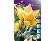 12,88���. ������� ���� ������(���������� ������ ������ ���������� �� 10 ��.).jpg