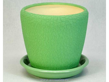 ������ ������  ���� ������