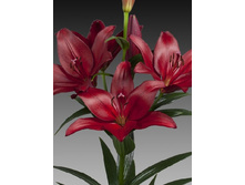 23,6���. ����� �������(��� 7 ��. ���������� ������ 3 ��� 4 ��.)���16.jpg