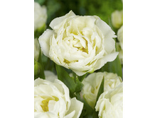 19,43���. ������� ������(��� 10 ��. ���������� ������ 5��.)���15.jpg