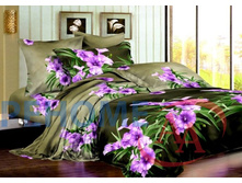 95-068 ���12 ��� ��� ����� �������.jpg