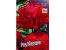 200���. ���� ��� ������(�������� ���� �� 1 ��., ����������� ����� 1��.).jpg