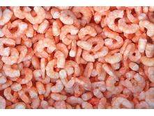 �������� ��������� ������-���������� 100-200(1).jpg