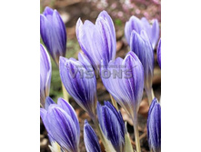 20,14���. ������ ����������� (����������.)(��� 5 ��. ���������� ������ 2 ��� 3 ��.)���16.jpg