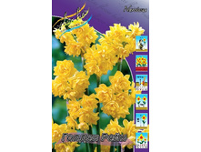 36,59���. ������� ������ ����(��� 7 ��. ���������� ������ 3 ��� 4 ��.).jpg