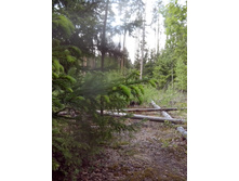 IMG 20160522 145230.jpg