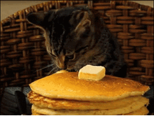 ����� ��������� �������