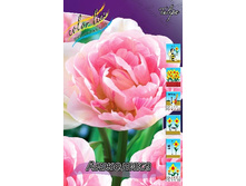 20,74���. ������� ��������(��� 10 ��. ���������� ������ 5��.).jpg