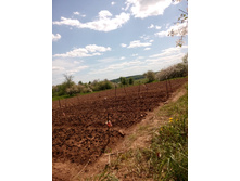 ������� ��-������)