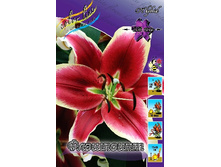 31,7���. ����� ���������(��� 7 ��. ���������� ������ 3 ��� 4 ��.).jpg