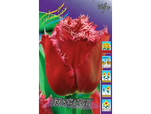 24,11���. ������� �������(��� 10 ��. ���������� ������ 5��.).jpg