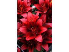 31,6���. ����� ����� �����(��� 5 ��. ���������� ������ 2 ��� 3 ��.).jpg