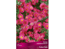 ����� ��������������� ����� ����.jpg