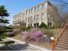 DSCN0596.JPG