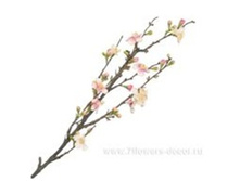 4606500567461 ����� ������������� ����, 86�� 96 563,5.jpg