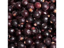 ������ ���������  ���� 1 �� - 100,00