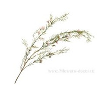 4606500567515 ����� ������������� �������, 102�� 144 486,45.jpg