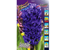 37,92���. ������� ����(��� 5 ��. ���������� ������ 2 ��� 3 ��.)���15.jpg