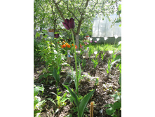 �����. ������ �����. �� ���������!