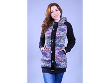 �-1651 ��������� ���������� (����)