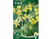 ������ ������.jpg