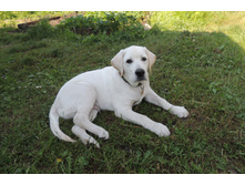 4 ������