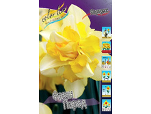 29,1���. ������� ���� �����(��� 7 ��. ���������� ������ 3 ��� 4 ��.).jpg