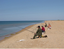 ������ �� ������ ����