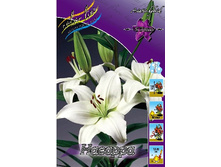 25,3���. ����� �������(��� 5 ��. ���������� ������ 2 ��� 3 ��.).jpg