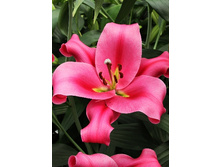 35,2���. ����� �����(��� 5 ��. ���������� ������ 2 ��� 3 ��.).jpg