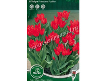 ������� �������� �������.jpg