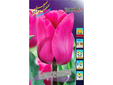 20,37���. ������� ���������(��� 10 ��. ���������� ������ 5��.).jpg