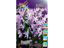 7,26���. ���������� �����(���������� ������ ������ ���������� �� 10 ��.).jpg