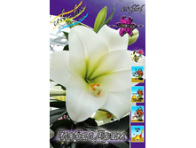 28,1���. ����� ������ ����(��� 7 ��. ���������� ������ 3 ��� 4 ��.).jpg