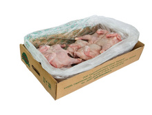 «�������� ������».jpg