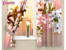 03180 "����� � ������ ������"