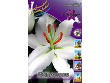 22,62���. ����� ���������(��� 5 ��. ���������� ������ 2 ��� 3 ��.).jpg