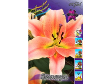 39,7���. ����� �������(��� 5 ��. ���������� ������ 2 ��� 3 ��.).jpg