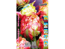 137,2���. ������� �� 40(�������� ���� �� 3 ��., ����������� ����� 1��.).jpg