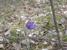 IMG 6777.jpg