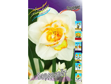 99,73���. ������� ���������(�������� ���� �� 3 ��., ����������� ����� 1��.).jpg