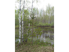 IMG 20160507 131447.jpg