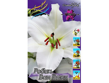 33,04���. ����� ����� ��� �����(��� 5 ��. ���������� ������ 2 ��� 3 ��.).jpg