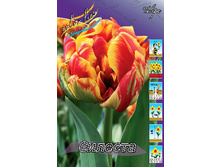 16,43���. ������� �������(��� 10 ��. ���������� ������ 5��.).jpg