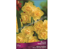 ������� ������ ���������.jpg