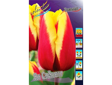 15,69���. ������� �� �������(��� 10 ��. ���������� ������ 5��.).jpg