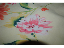 554df5ec2c3a8 dsc0018.JPG