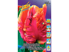 21,3���. ������� ������ ������(��� 10 ��. ���������� ������ 5��.).jpg