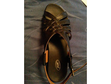 023 ������ ����